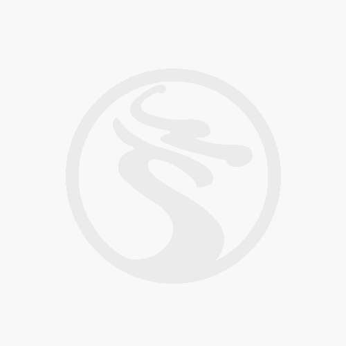 高新学校学校风采